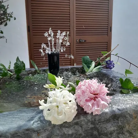 La Ola Country house *